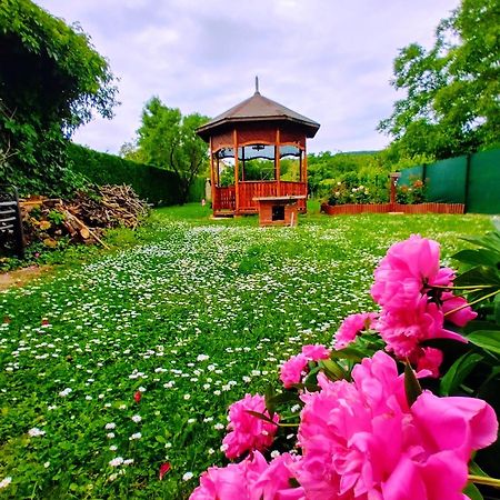 فندق Balaton Vendeghaz بالوزناك المظهر الخارجي الصورة